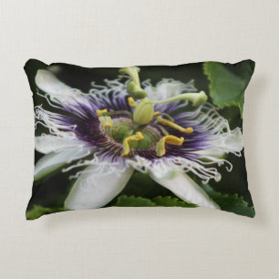 Passion Flower Closeup 3 Decorative Cushion
