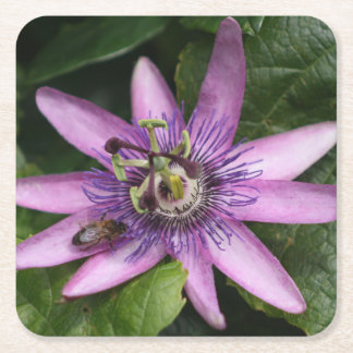 Passion flower Coaster