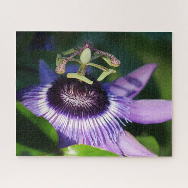 Passion Flower Jigsaw Puzzle (Horizontal)