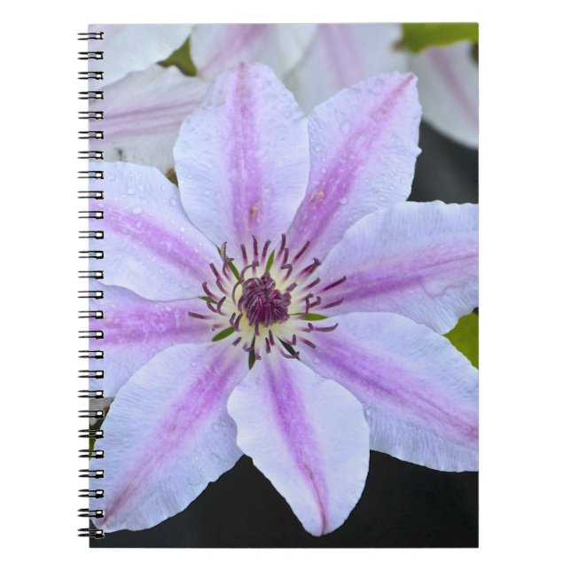 Passion Flower Notebook (Front)