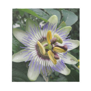 Passion Flower Notepad