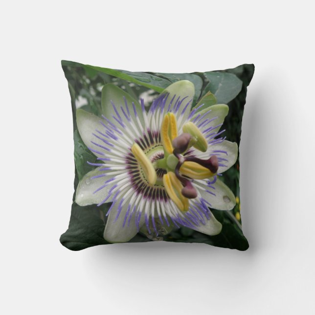 Passion Flower Pillow (Front)