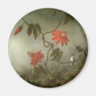 Passion Flowers and Hummingbirds by Martin J Heade Magnet