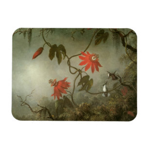 Passion Flowers and Hummingbirds by Martin J Heade Magnet