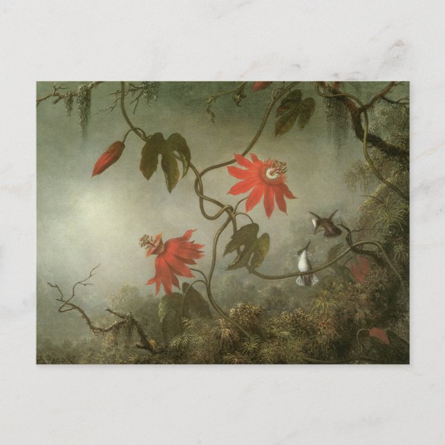 Passion Flowers and Hummingbirds by Martin J Heade Postcard (Front)