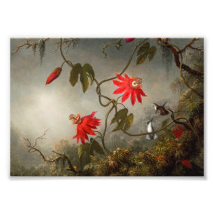 Passion Flowers with Hummingbirds Heade Photo Print