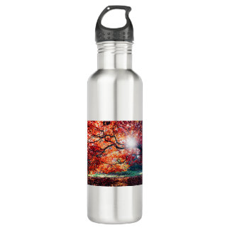 Passion for life 710 ml water bottle