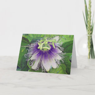 Passion Fruit Blossom Card
