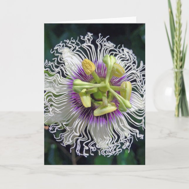 Passion Fruit Blossom Card (Front)
