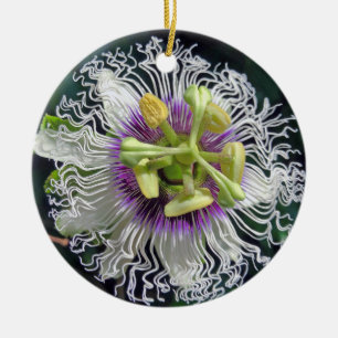 Passion Fruit Blossom Ceramic Tree Decoration