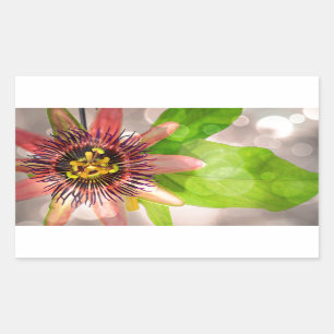 Passion Fruit Flower Rectangular Sticker