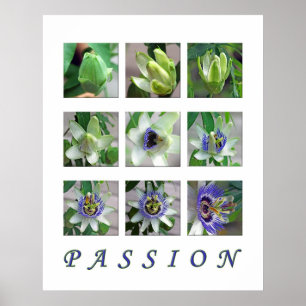 PASSION POSTER