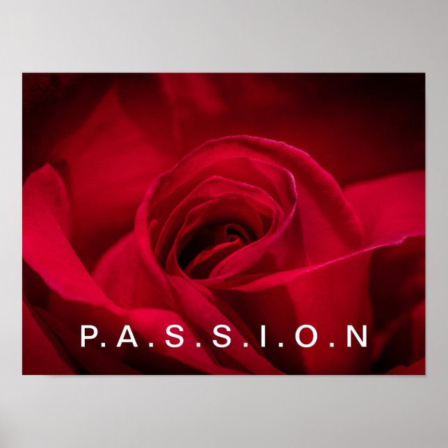 Passion Red Rose Poster (Front)