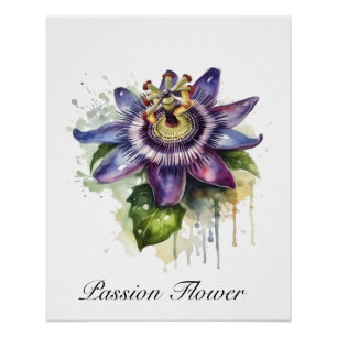 Passionate Purple Passion Flower Poster