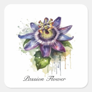Passionate Purple Passion Flower Square Sticker