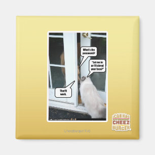 Password Please Magnet