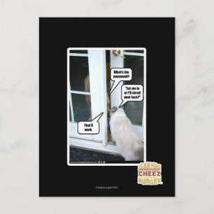 Password Please Postcard