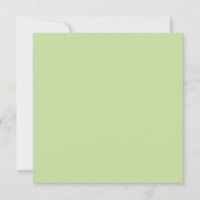 Pastel Apple Green Solid Colour