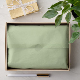 Pastel Apple Green Solid Colour Tissue Paper