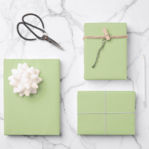 Pastel Apple Green Solid Colour Wrapping Paper Sheet