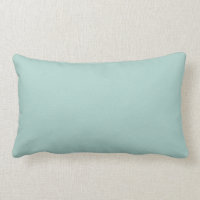 Pastel Aquamarine Blue-Green Solid Colour SW 0063