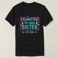 Pastel Big Sister 2026 Unique Pregnancy Reveal
