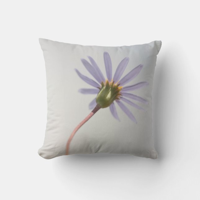 Pastel Blue Daisy Flower Cushion Throw Pillow (Front)