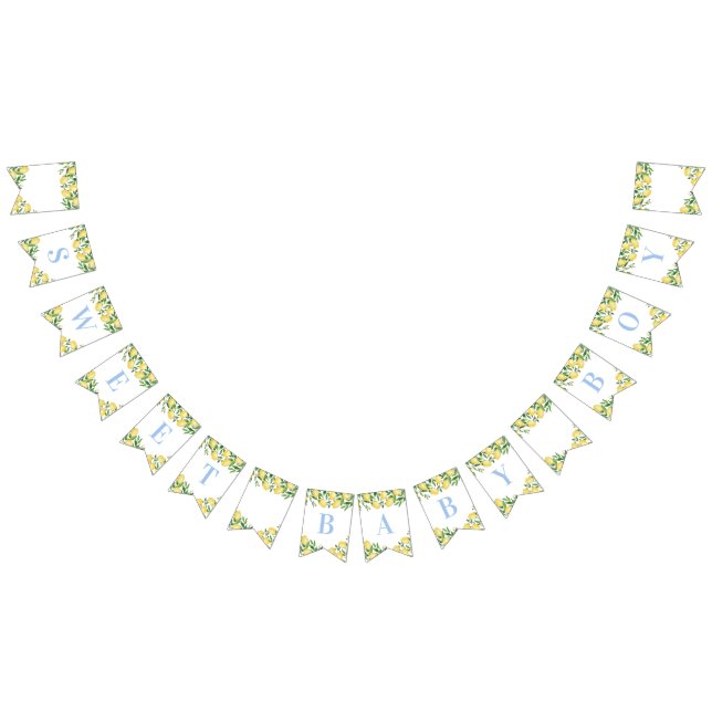 Pastel Blue Lemons Sweet Boy Baby Shower Bunting (All)
