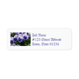 Pastel Blue Pansies