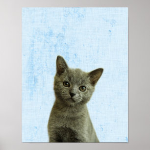 Pastel Blue Peekaboo Kitten Minimalist Nursery Poster