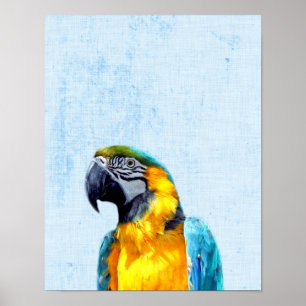 Pastel Blue Peekaboo Parrot Minimalist Nursery Poster