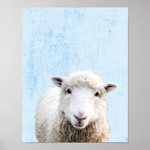 Pastel Blue Peekaboo Sheep Minimalist Nursery Poster