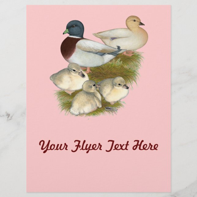 Pastel Call Duck Family Flyer (Front)