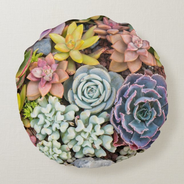 Pastel Coloured Succulent Plants Round Pillow (Back)