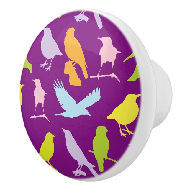 Pastel Coloured Variety of Birds Pattern Ceramic Knob (Right)
