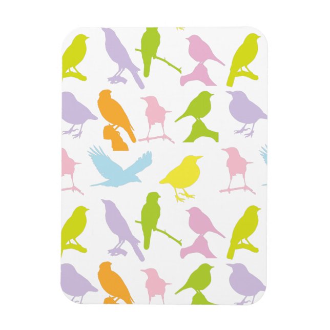 Pastel Coloured Variety of Birds Pattern Magnet (Vertical)