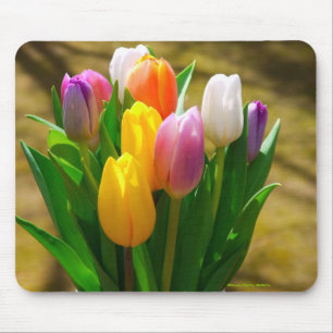 Pastel Colours Tulip mousepad