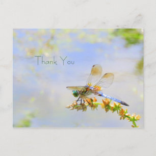 Pastel Dragonfly Thank You Postcard