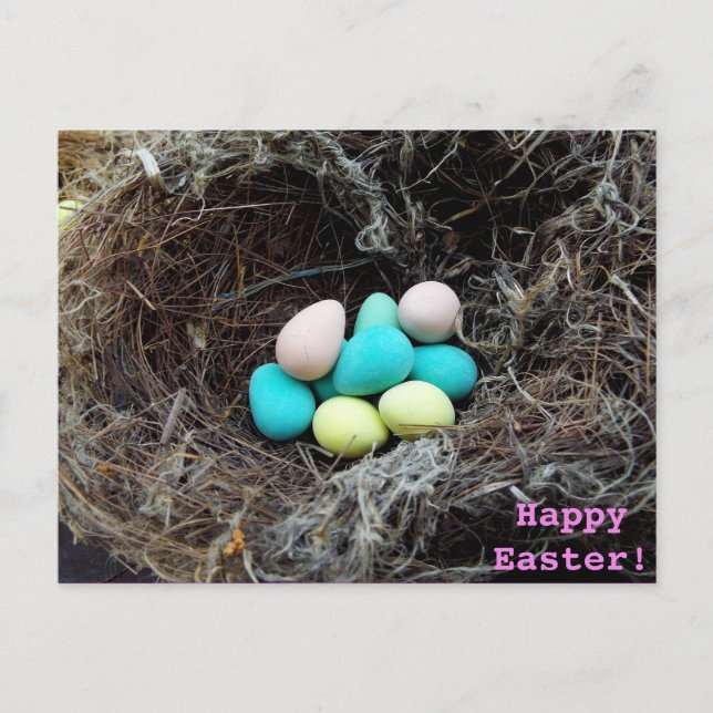 Pastel Easter eggs in real bird's nest photograph Holiday Postcard (Front)