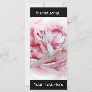 Pastel Flower