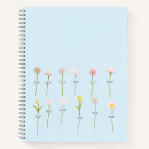 Pastel Flower Notebook – Minimal Botanical Design