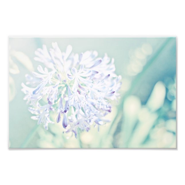 Pastel Flowers Photo Print (Front)