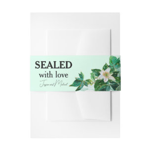 Pastel green invitation belly band