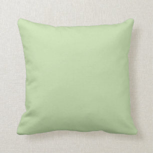 Pastel Green Solid Colour Pairs Aloe Gel 058-83-18 Cushion