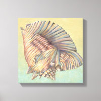 Pastel Large Conch Shell