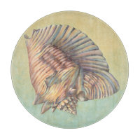 Pastel Large Conch Shell
