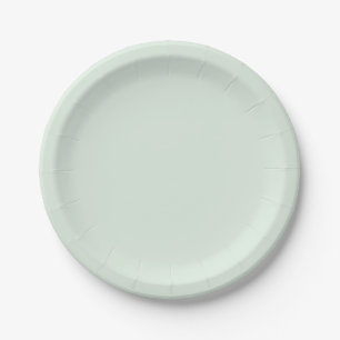 Pastel Mint Green Solid Colour Paper Plate