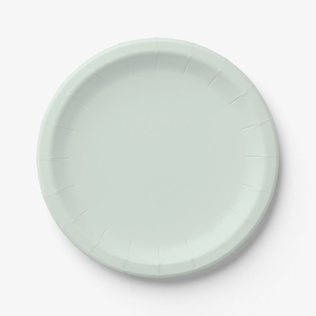 Pastel Mint Green Solid Colour Paper Plate (Front)