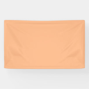 Pastel Orange Banner