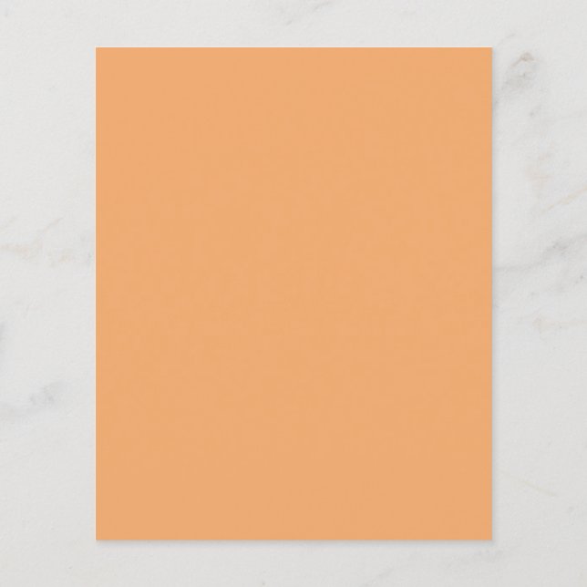 Pastel Orange Flyer (Back)